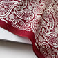 Paisley & polka dots print silk scarf - Red