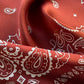 Paisley prints silk scarf - Terracotta Red